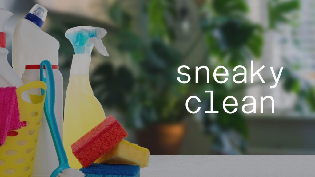 Sneaky Clean